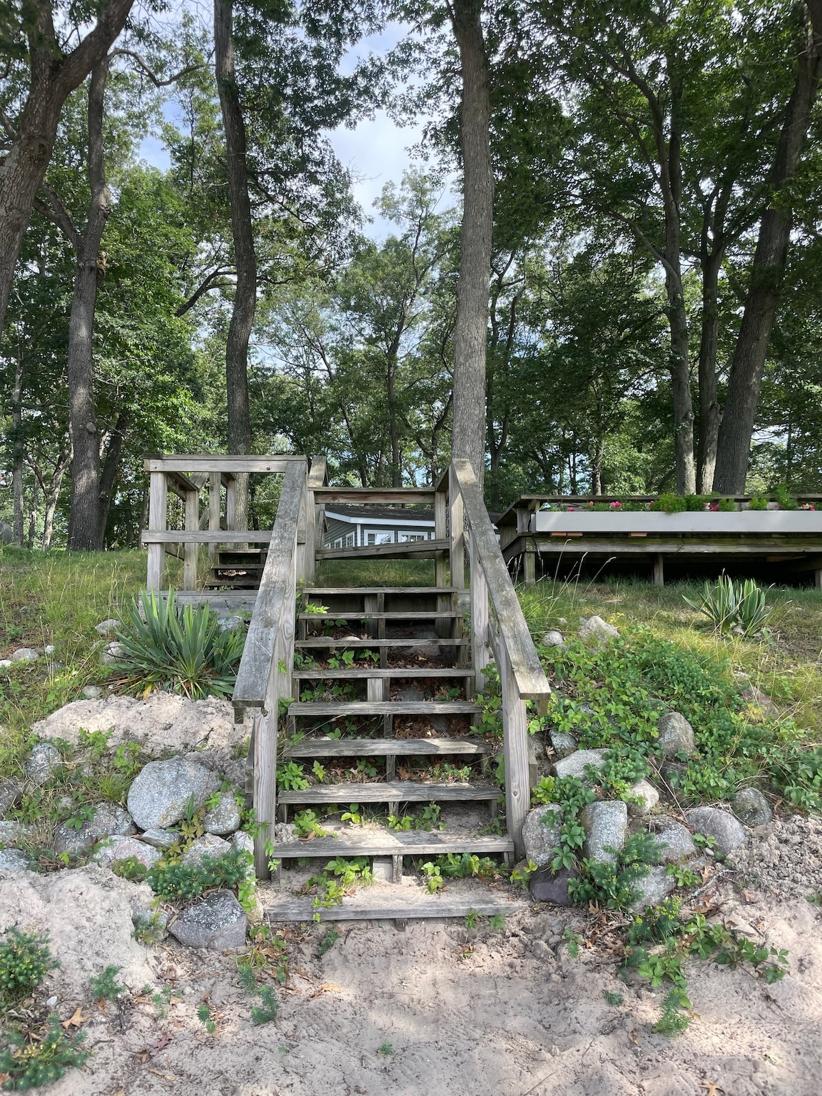 A wooden staircase leads from a sandy area to a grassy elevation, surrounded by trees. The stairs are flanked by small plants, and a wooden deck is visible at the top, partially obscured by foliage.