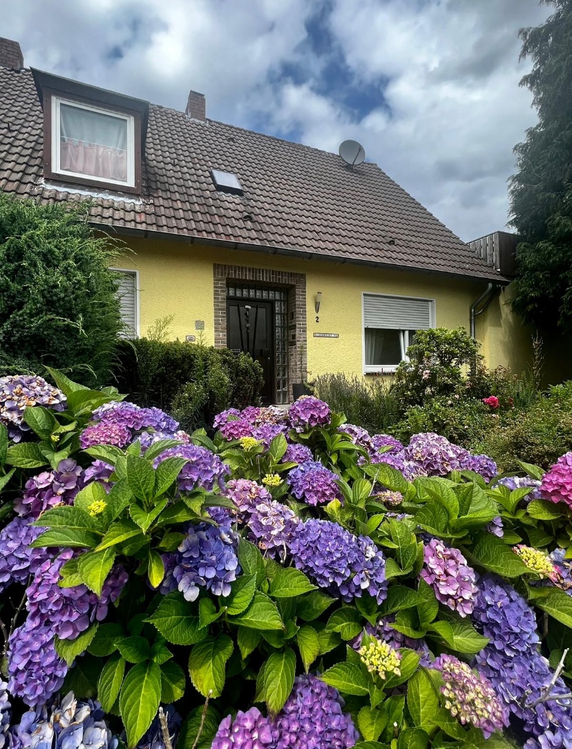 A cozy yellow house with a distinctive tiled roof is framed by vibrant flowering hydrangeas in shades of purple and blue. The entrance features a dark door, and light-colored window coverings are visible. Lush greenery surrounds the property, contributing to its welcoming appearance.