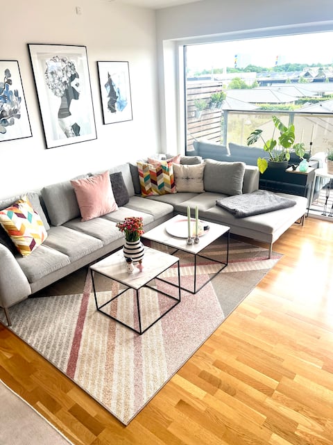 Modern bright apartment (elevator) free parking