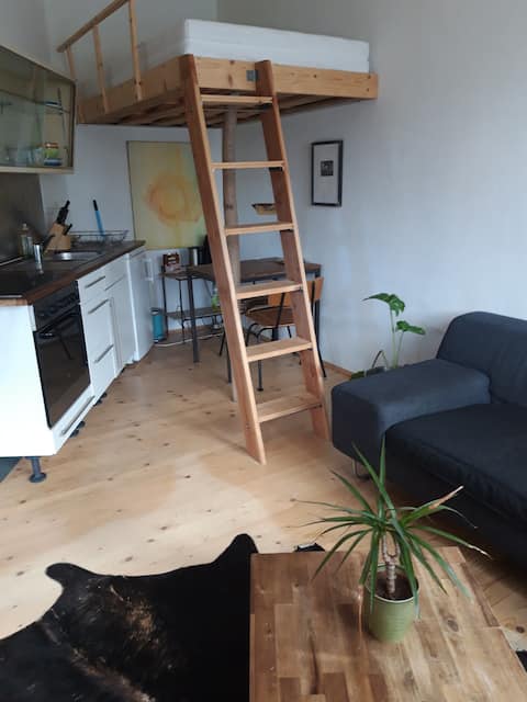 Top Airbnb: sweet apartment in Freiburg Im Breisgau