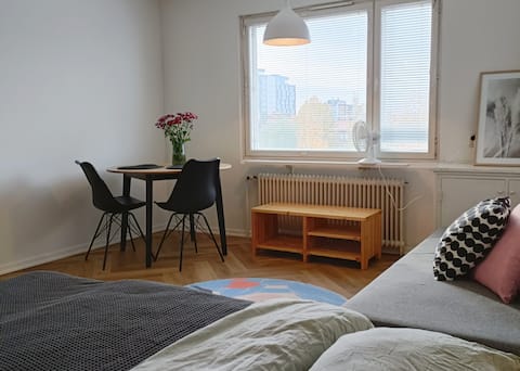 Studio apartment in the center