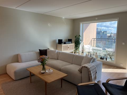 Beautiful apartment in Sola centre