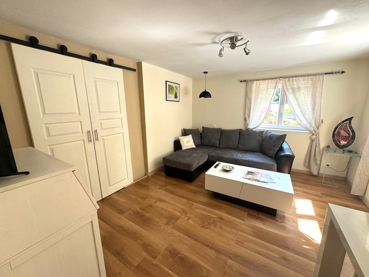 Appartement & Jardin Entre Forêt /Centre Ville - Cernay