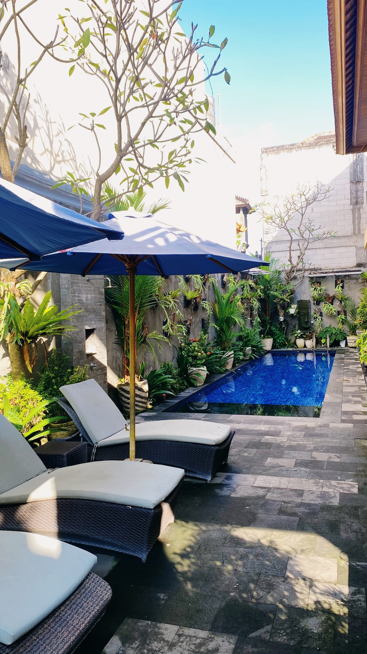 An outdoor area features a tranquil blue swimming pool surrounded by lush greenery and tropical plants. Two lounge chairs are positioned under a blue umbrella, providing shade. Natural stone tiles create a path leading to the pool, enhancing the inviting atmosphere.