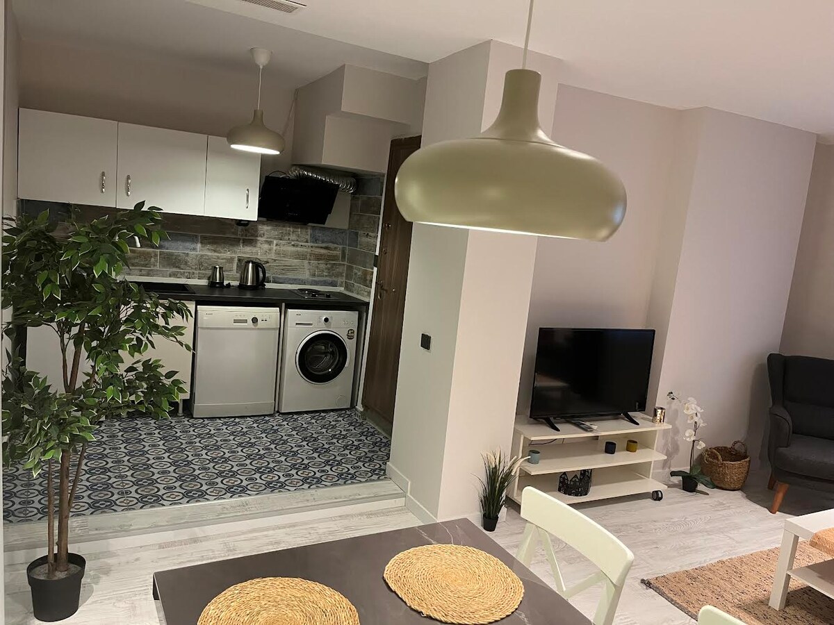 An open-plan living area showcases a modern kitchen with essential appliances, including a washing machine and a kettle. A flat-screen television is positioned in the corner, while a dining table creates a focal point. Natural light streams in, highlighting the stylish decor.