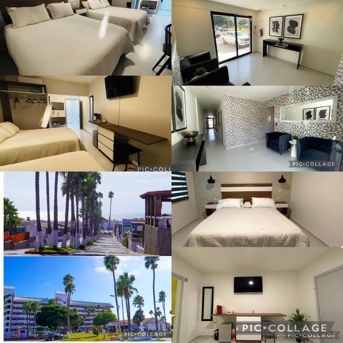 A series of images showcases various spaces within modern accommodations. A neat bedroom showcases a spacious bed against a minimalist backdrop. Common areas feature sleek furniture, large windows allowing natural light, and decorative accents. Outdoor views display well-maintained pathways lined with palm trees.