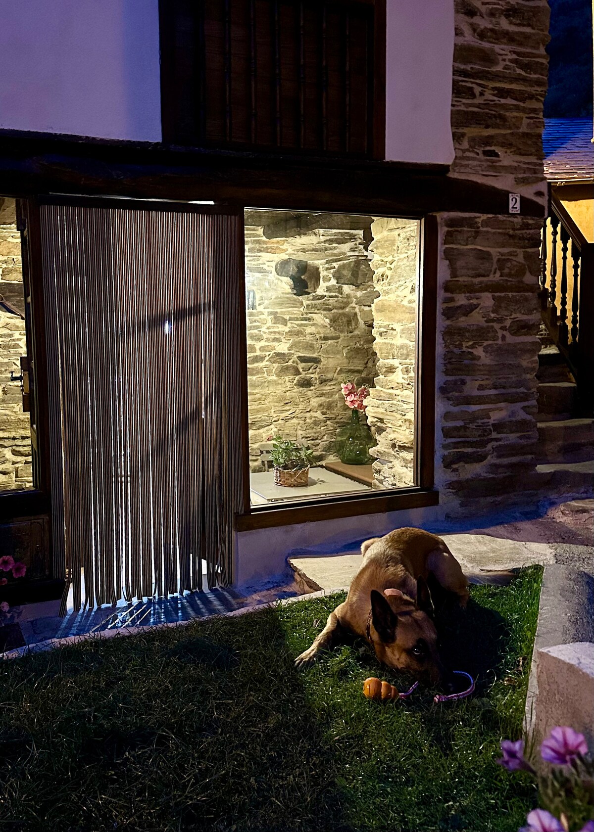 A rustic exterior view features a stone facade illuminated by soft, ambient lighting. A playful dog is seen resting on the grass, while a cozy indoor space is visible through the transparent curtain, showcasing a potted plant and stone walls.