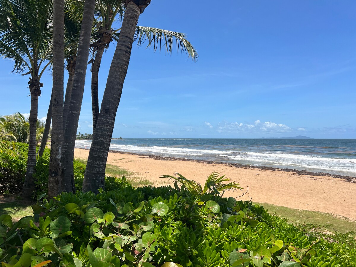 A sandy beach stretches alongside the coastline, bordered by lush green foliage and palm trees. Gentle waves wash up onto the shore under a clear blue sky, creating a serene atmosphere. The landscape is framed by distant mountains on the horizon.