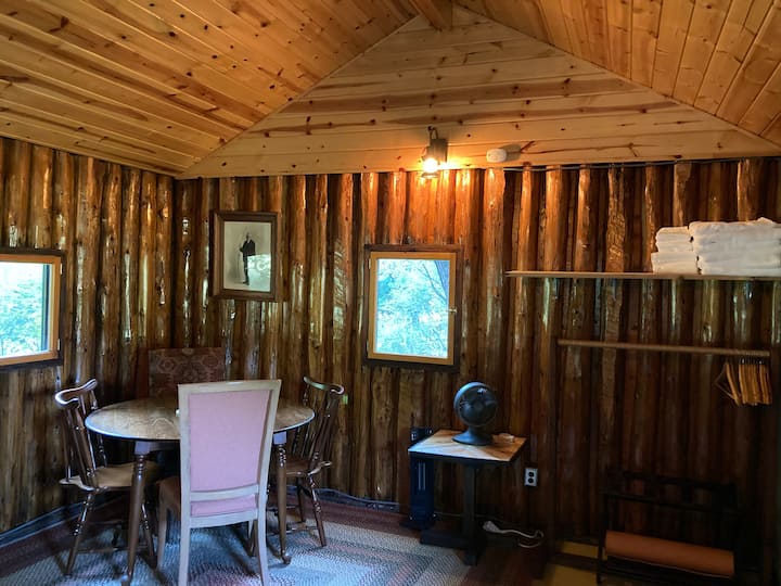 Honey Hollow Cabin - Torch Lake, MI