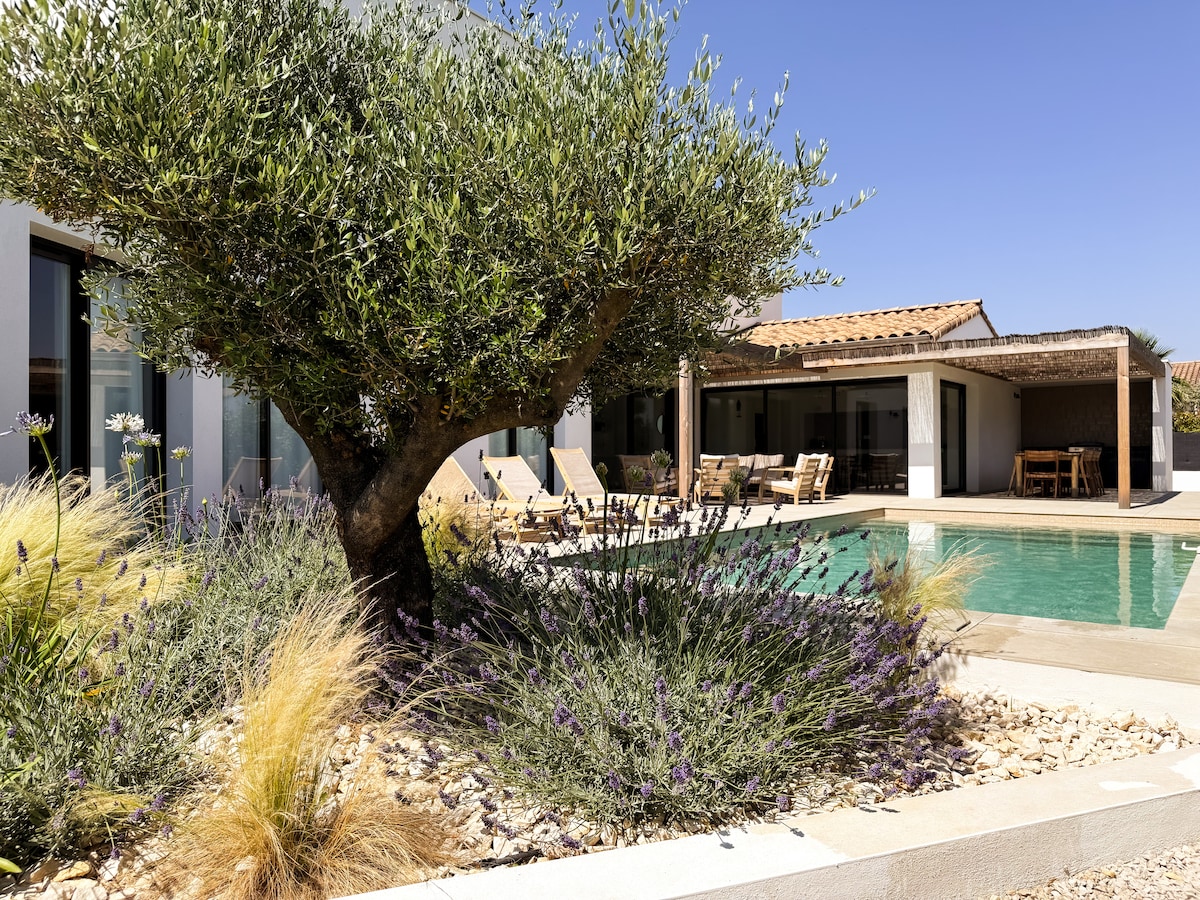 A serene outdoor space is showcased, featuring a heated swimming pool bordered by decorative stones and landscaped plants. A mature olive tree stands prominently, while sun loungers are positioned beside the pool. The villa's entrance is visible through large glass doors, enhancing the connection with nature.