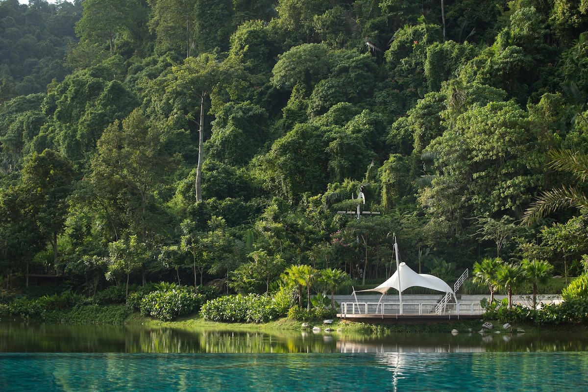 A serene lakeside scene is presented, showcasing a modern pavilion with a white canopy, surrounded by lush greenery. The tranquil lake reflects the vibrant foliage, creating a peaceful atmosphere. Trees and plants border the area, enhancing the natural setting.