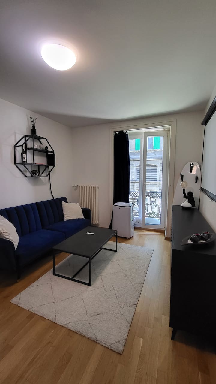 Centrally Located Apartment With Balcony - Zúrich