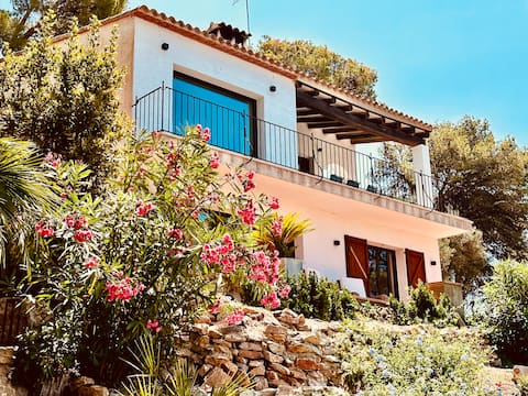 Beachfront villa with sea view
