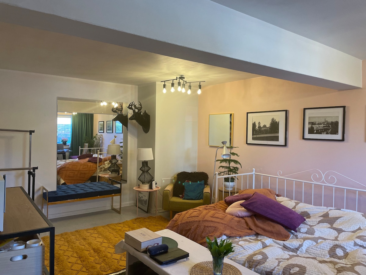 A spacious room features a relaxed seating area with a green sofa, an extended bed adorned with a textured blanket, and a decorative rug. A large mirror reflects the area, while framed photographs and soft lighting enhance the ambiance. Various plants and furniture add character.