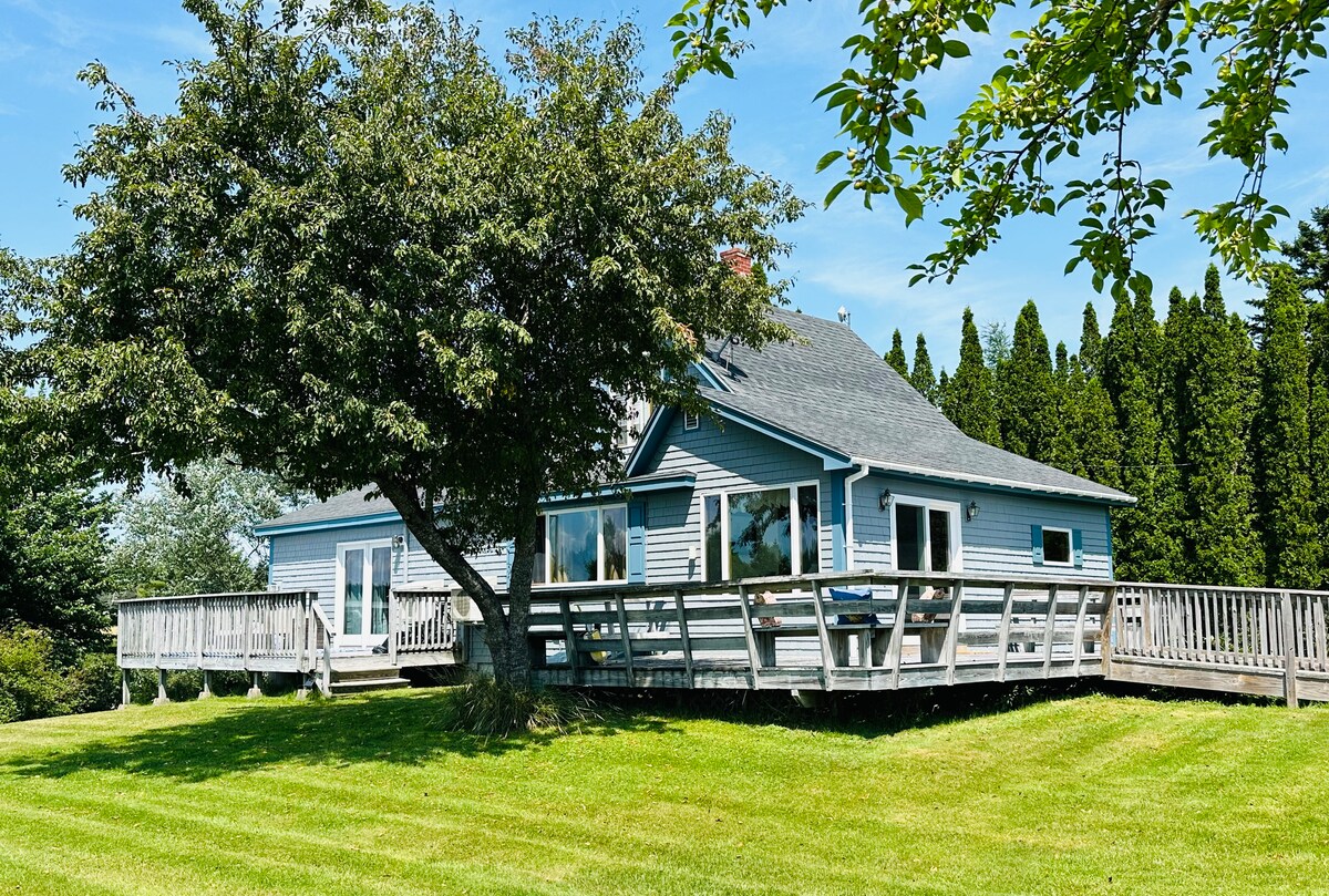 A light blue cottage is framed by a large tree, with a spacious wooden deck that features multiple seating areas. The building showcases large windows, providing ample natural light. Lush green grass surrounds the property, complemented by a backdrop of tall evergreen trees.