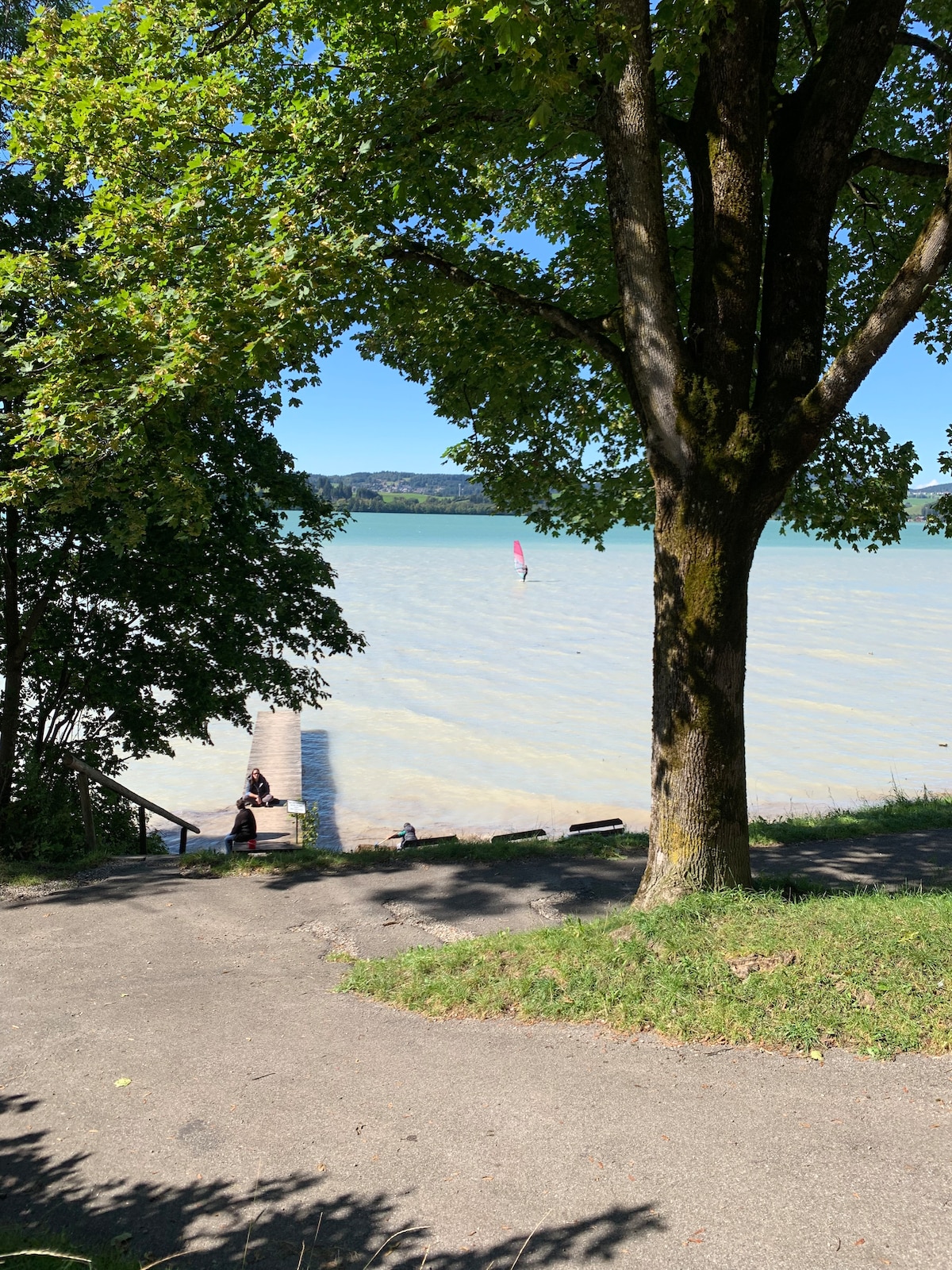 A scenic view of Forggensee is presented, framed by lush greenery from a tree. A sandy path leads towards the water, where a windsurfer can be seen in the distance. The sunlit lake reflects a serene blue under a clear sky.