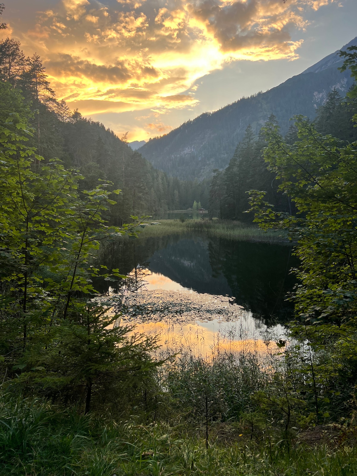 A serene landscape captures the still waters of a lake, framed by tall trees and mountains. The reflection of the vibrant sunset colors dances on the surface, creating a harmonious connection between the sky and water.