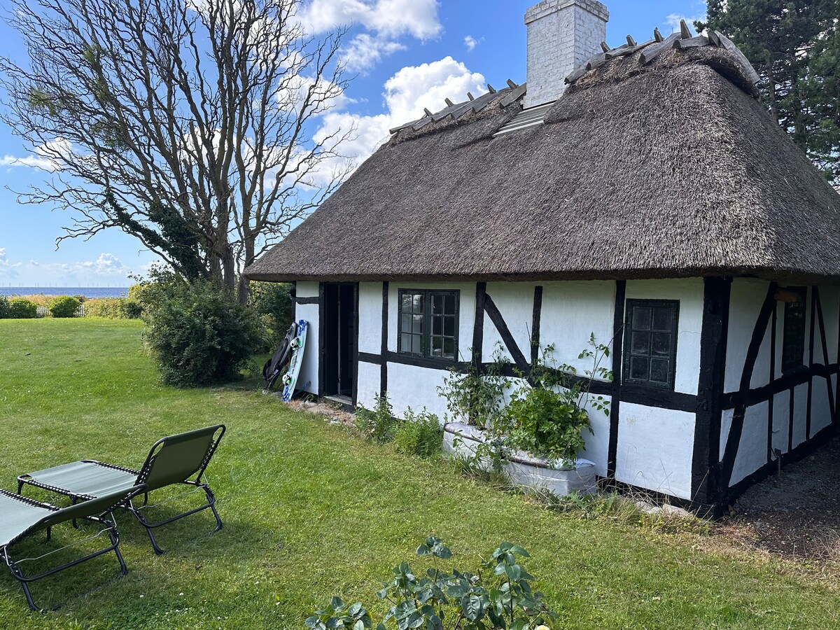 Hermosa casa de huéspedes con pequeña chimenea, cama doble y 2 colchones en el loft. 