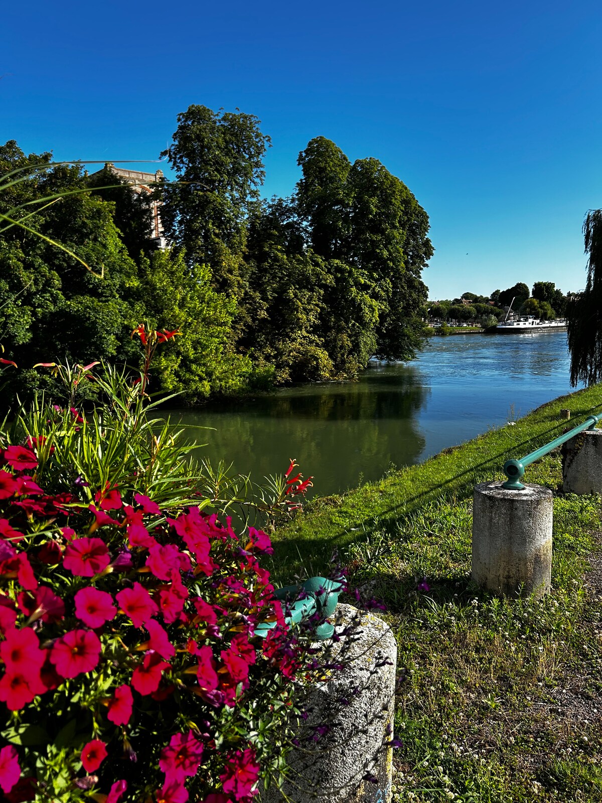A serene view of the Seine River is framed by lush greenery and vibrant flowers in shades of pink. The tranquil waters reflect the clear blue sky, while trees provide a natural backdrop along the riverbank, creating a peaceful outdoor setting.