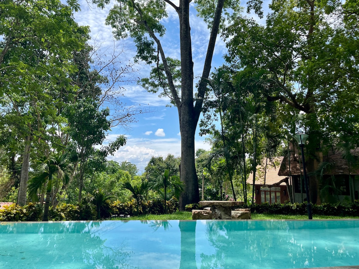 A serene pool reflects the surrounding lush greenery and a towering tree, framed by clear blue skies. The tranquil setting invites relaxation, with hints of nearby structures nestled among the vibrant landscape.