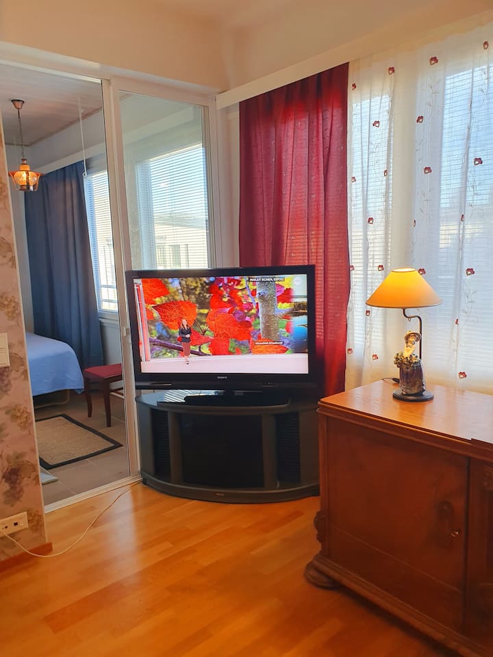Penthouse In City Center With Sauna - Jyväskylä