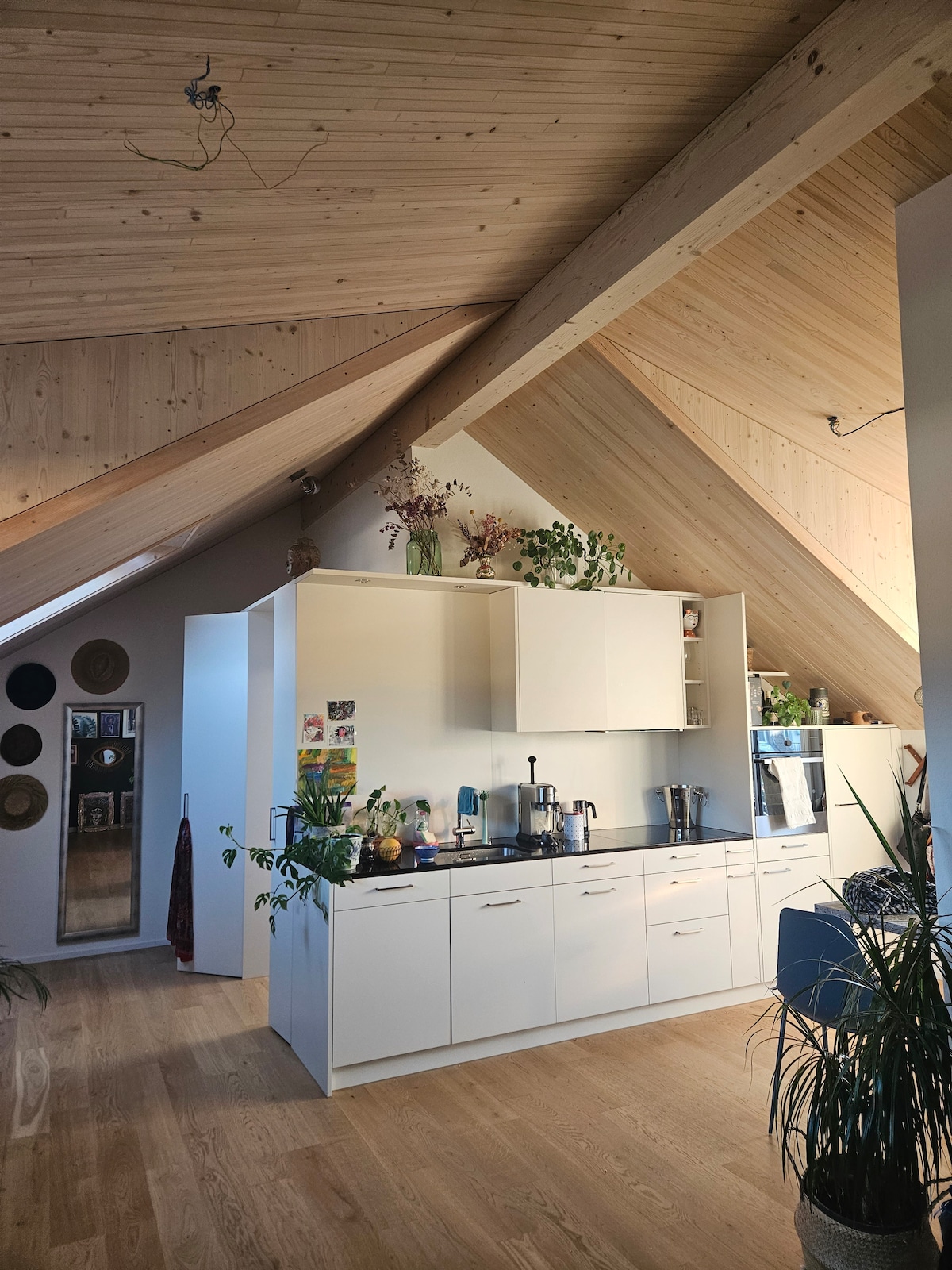 A modern kitchen area features high wooden ceilings and an open layout. Sleek white cabinetry is complemented by a dark countertop. Plants and decorative items add a touch of greenery, while light floods in from the nearby window, creating a bright and airy atmosphere.