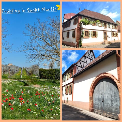 FeWo Marta - St. Martin
