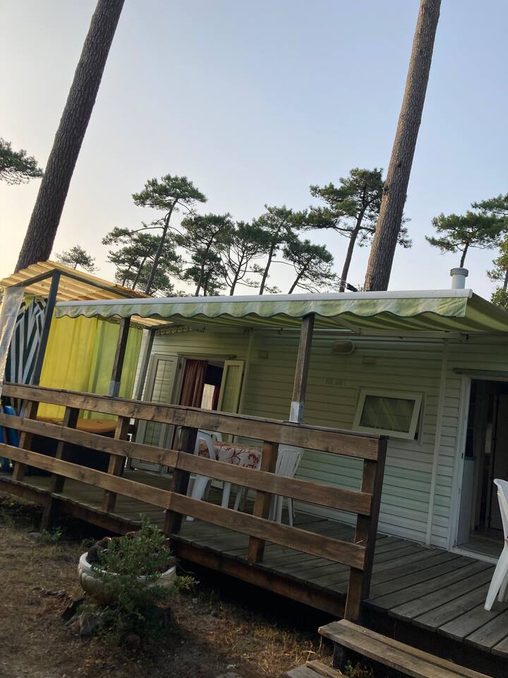 Logement Mobilhome Panoramique - Moliets-et-Maa
