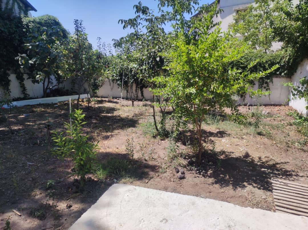 A spacious outdoor area is seen with various trees and shrubs, creating a natural environment. The ground is mostly bare, with some greenery suggesting a garden-like space. A concrete slab with wooden slats is visible in the foreground, providing an area for seating or activities.