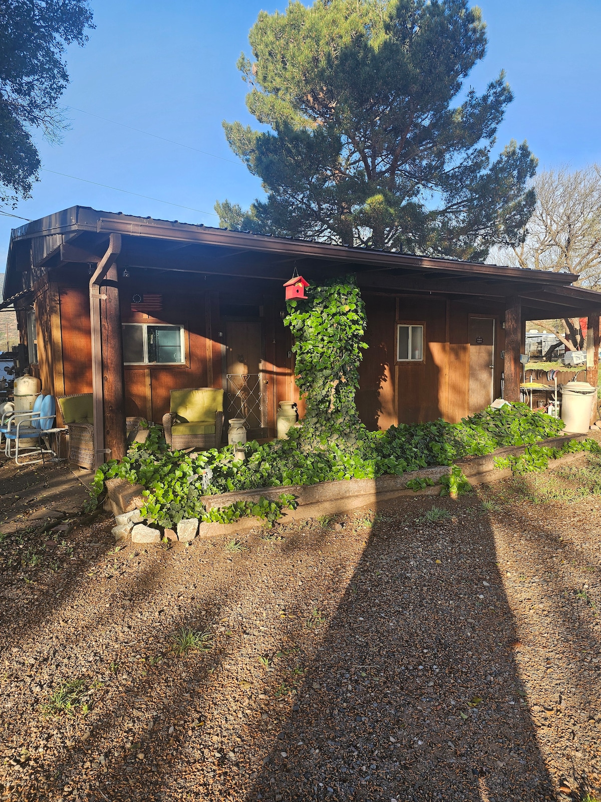 A charming wooden bunkhouse is surrounded by lush greenery and decorative pots. Sunlight filters through the trees, casting gentle shadows on the gravel path in front. A small red birdhouse adds a pop of color to the serene outdoor setting, inviting guests to explore.