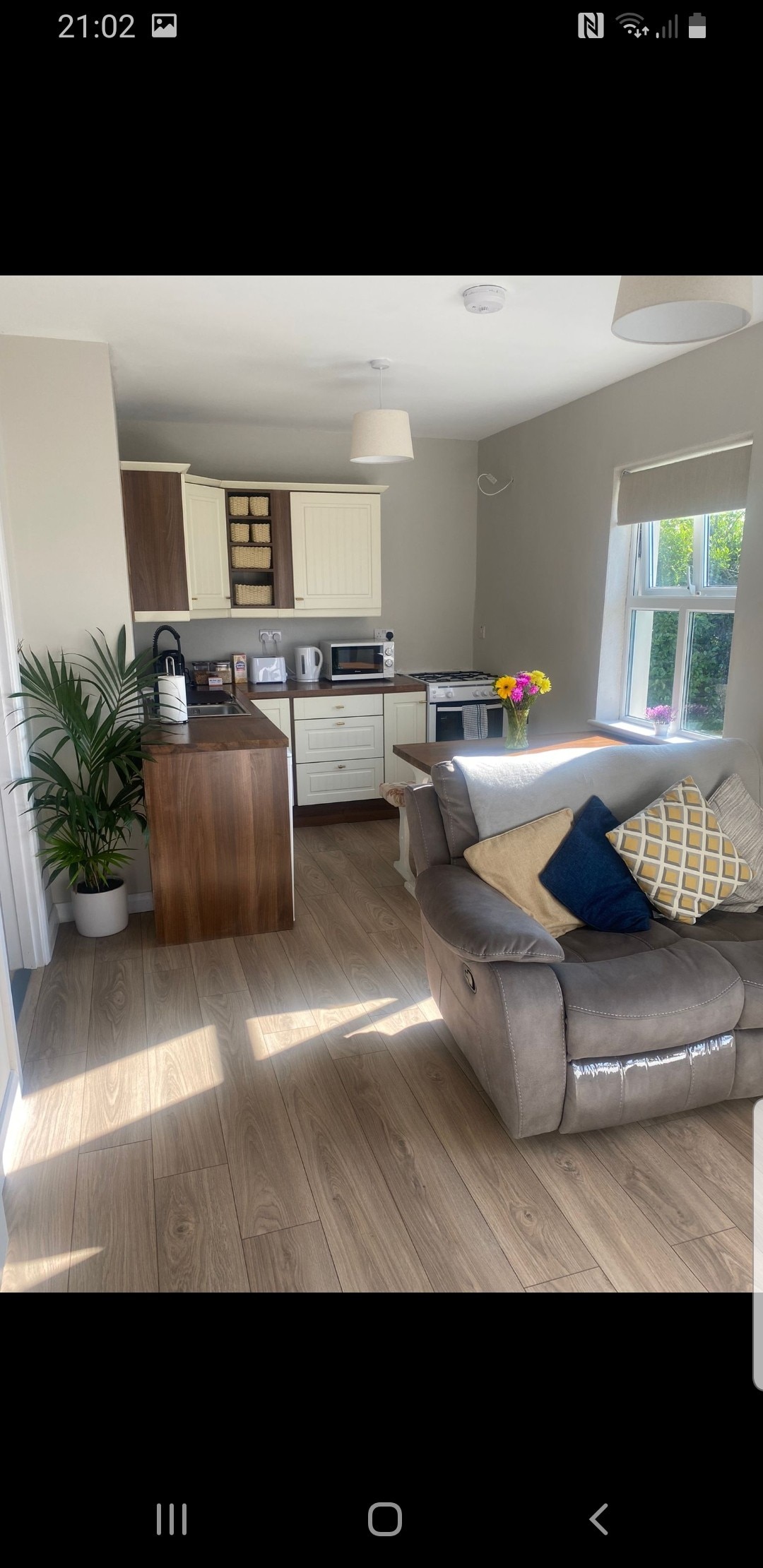 An open-plan living area features a kitchen with light cabinets and dark countertops. A comfortable couch with colorful cushions is positioned nearby. A potted plant adds greenery, and sunlight streams through a nearby window, enhancing the cozy atmosphere.