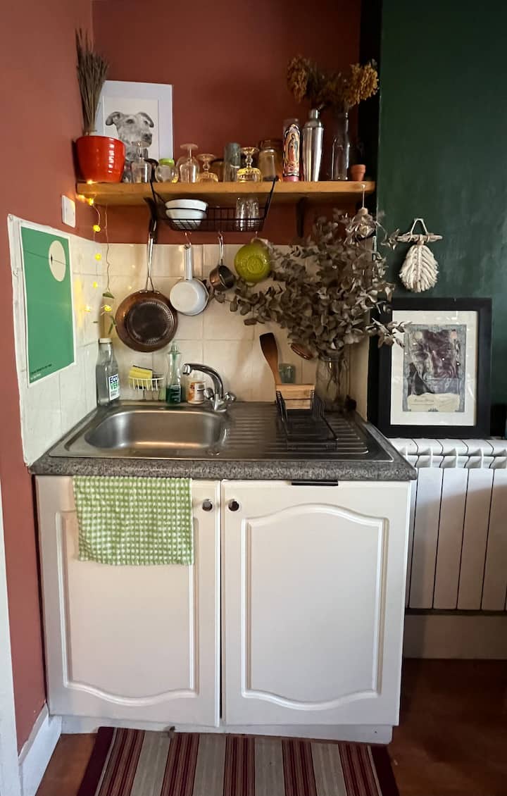 Cat’s Wee Flat - Brighton