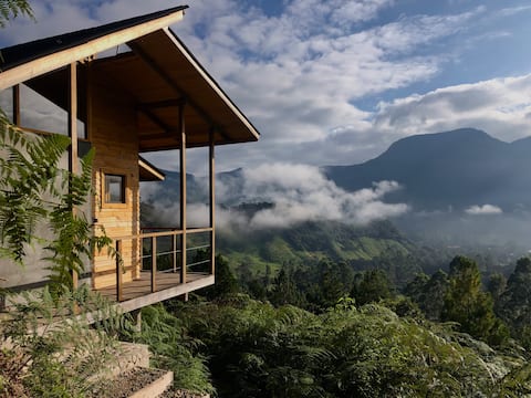 Mount Cherom: Motmot cabin in the cloud forest
