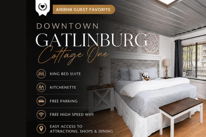 C1: King/kitchenette/fiberwifi/1 Mi To Gat Strip! - Gatlinburg, TN