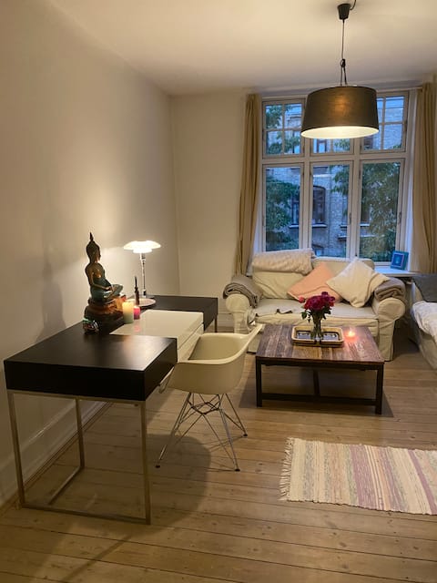 Successful Airbnb property: BEST location, LUX Apartment in Frederiksberg