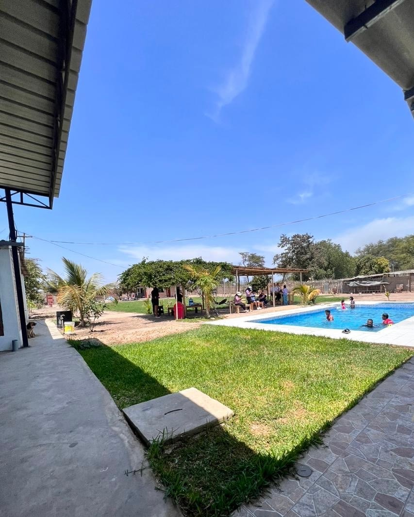 A spacious outdoor area features a swimming pool surrounded by lush green grass and shaded seating. The scene includes a gazebo with people engaging in leisure activities, while the sky is bright and clear, creating a relaxed atmosphere for enjoyment.