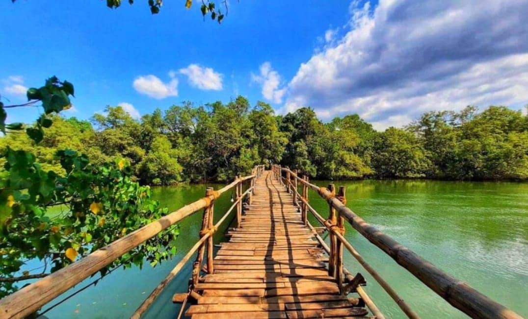A wooden walkway stretches over the tranquil green waters, bordered by lush trees and foliage. The sky is bright with scattered clouds, creating a serene and inviting atmosphere for leisurely walks and nature observation.