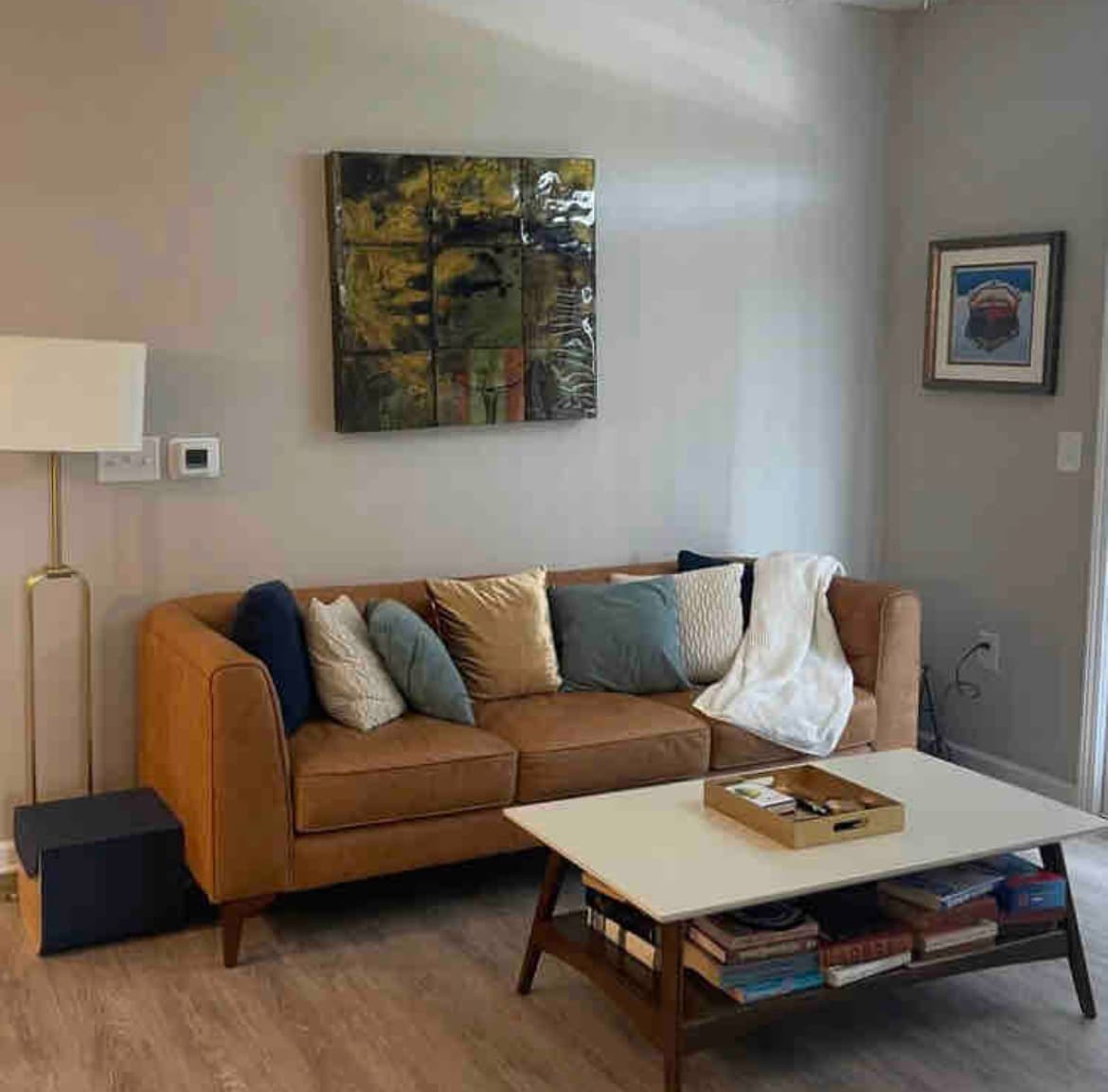 منطقة المعيشة