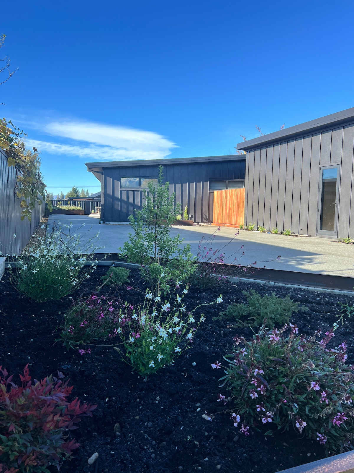 A landscaped area features a variety of flowering plants and greenery, set against the backdrop of modern structures. The clear blue sky complements the clean lines of the buildings, while the pathway leads toward the entrance of the studio.