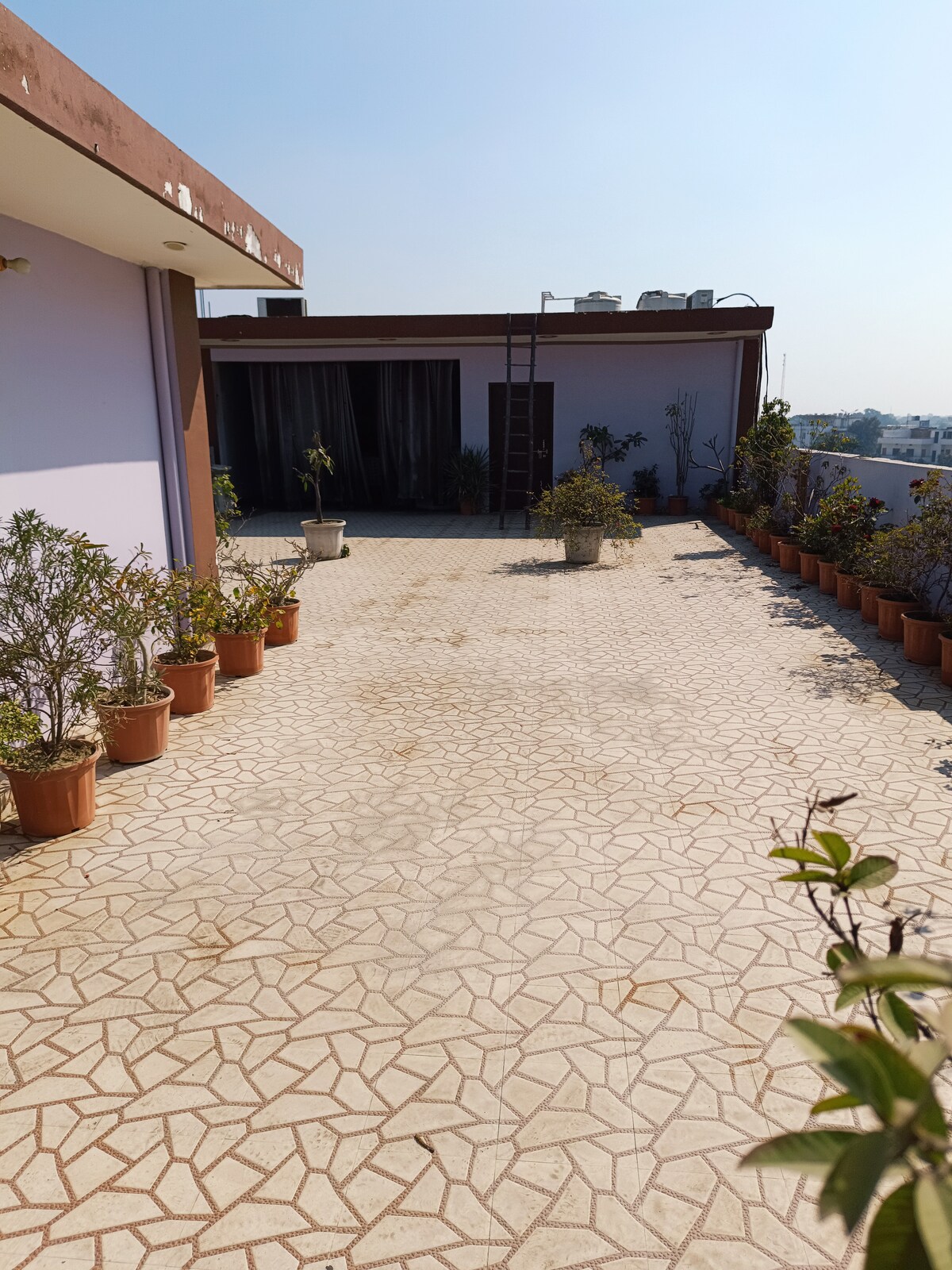 The spacious rooftop terrace features a tiled floor surrounded by potted plants. A few steps lead to an area with a view, while the sun casts a warm glow across the open space, perfect for relaxation or gatherings.