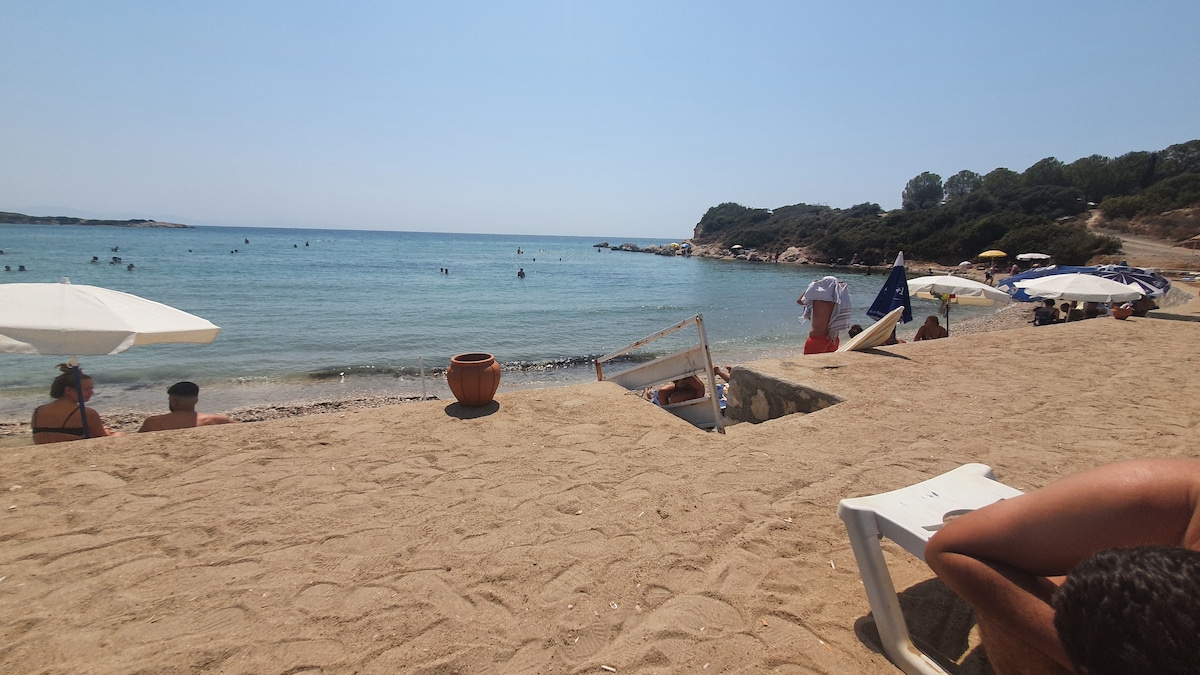 A sandy beach stretches along the coastline, where sunbathers relax under large umbrellas. The tranquil water showcases a range of swimming activities. In the background, lush green trees provide a natural border, enhancing the coastal atmosphere.