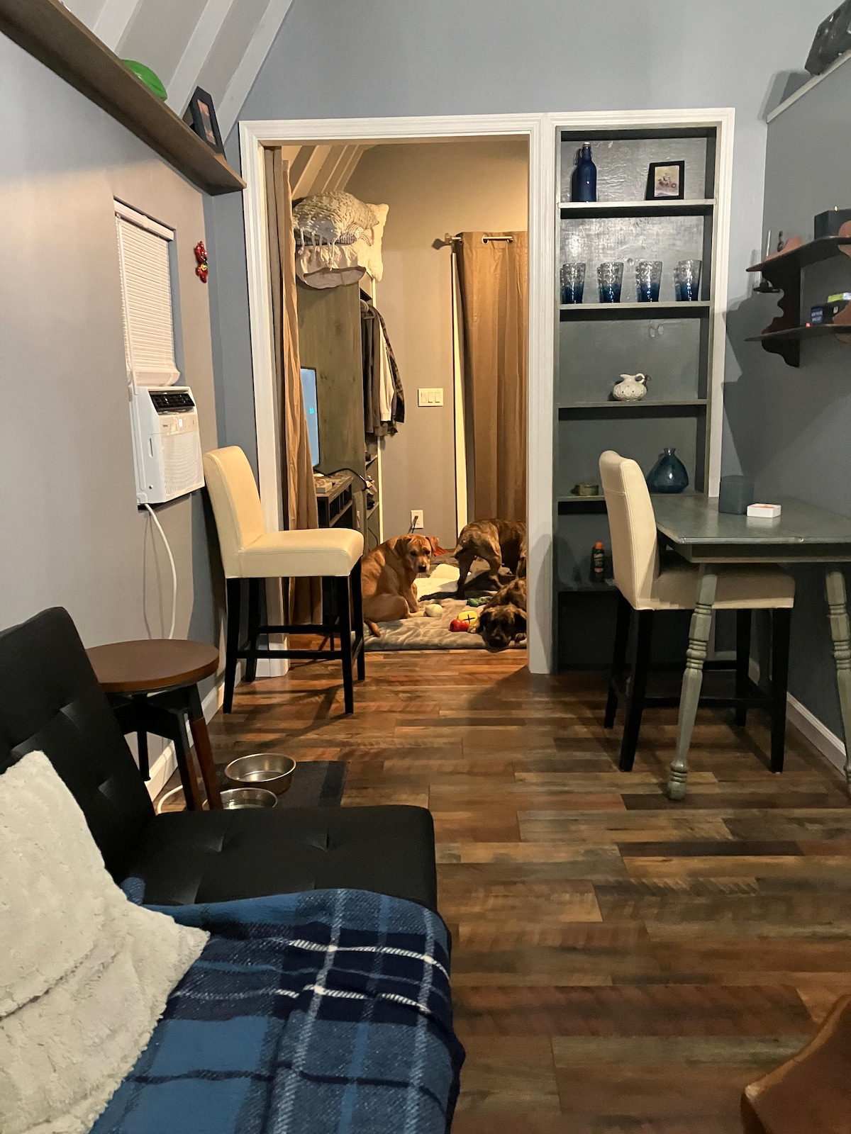 An open living area features a cozy seating arrangement with a dark sofa and a blue plaid throw. A tall bar table with two stools is positioned nearby. A doorway leads to another room, where several dogs are resting on the floor.