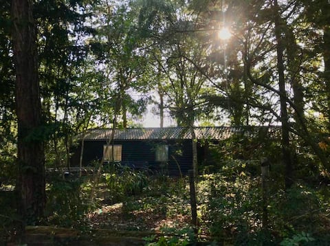 Bird Barn, luxurious and artistic