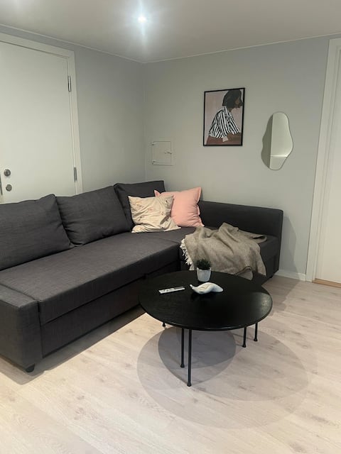 cozy basement apartment.