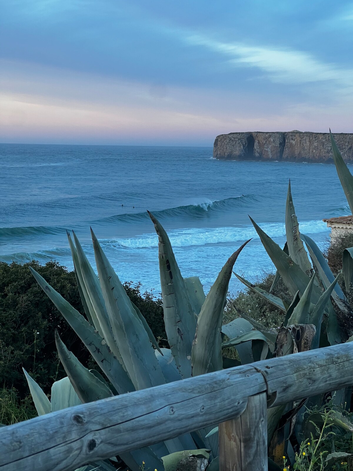 A serene coastal view is presented, showcasing gentle waves rolling onto the shore with a distant rocky cliff in the background. Lush green agave plants frame the scene, while the sky transitions to soft hues of blue and lavender, signaling the approaching evening.