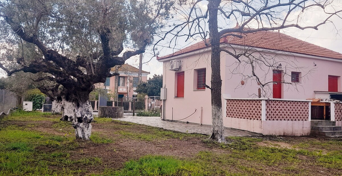A pink villa is set amidst a sprawling olive grove, showcasing a paved outdoor area. The building features red window shutters and a simple, inviting facade. An ancient olive tree stands prominently in the foreground, adding character to the natural surroundings.