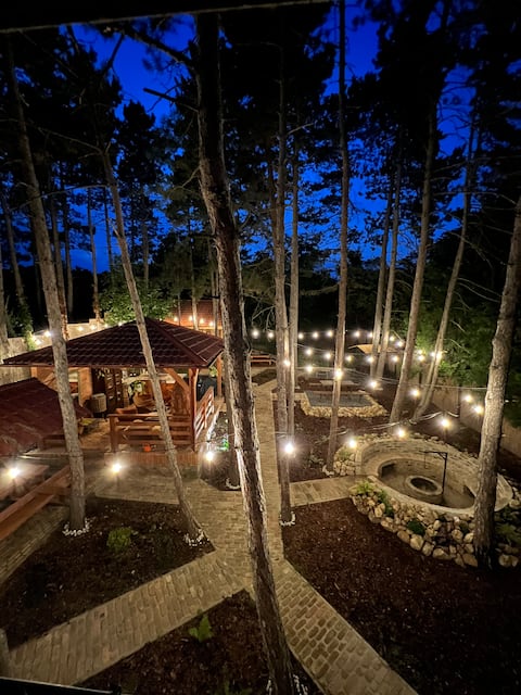 BOhome Balaton entire house with outdoor sauna