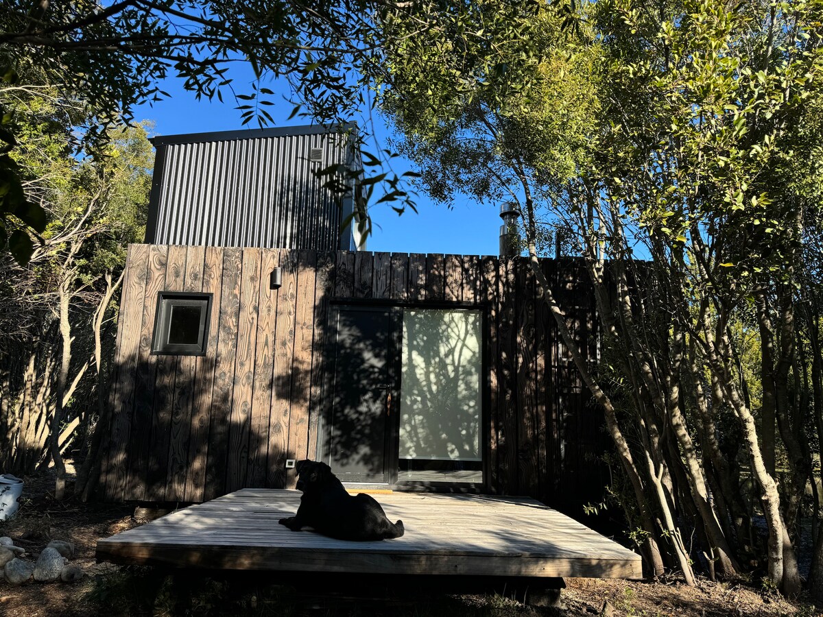 The exterior of a rustic wooden house is shown, surrounded by lush greenery. A large deck area is visible, featuring a dog resting calmly in the sunlight. The building has a combination of wooden and black metal siding, with a small window framed by trees.