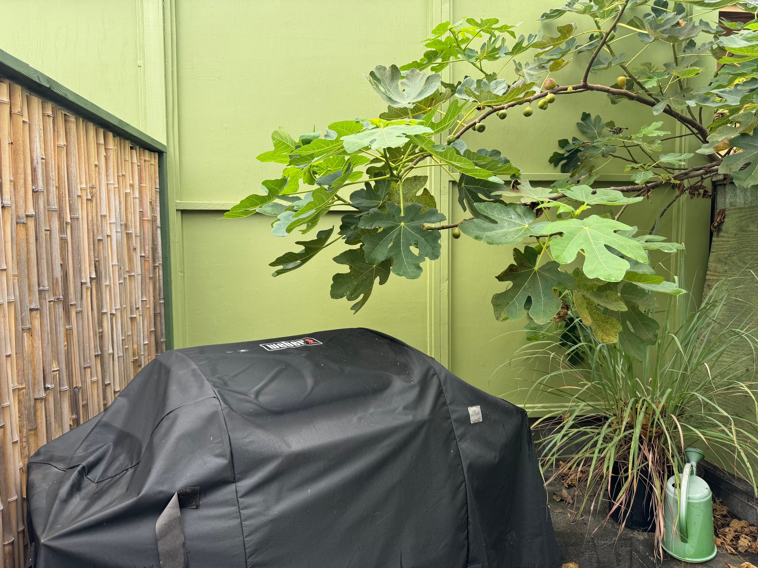 Home in Kailua-Kona · ★4.89 · 1 bedroom · 1 bed · 1 private bath - Image 18