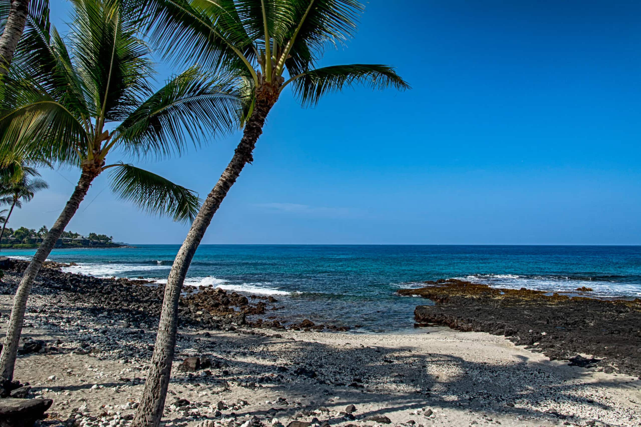 Home in Kailua-Kona · ★4.89 · 1 bedroom · 1 bed · 1 private bath - Image 22